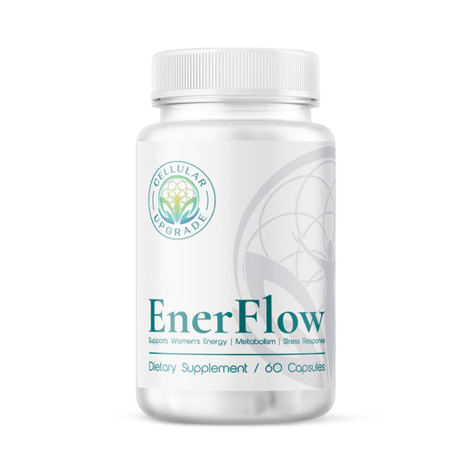 EnerFlow